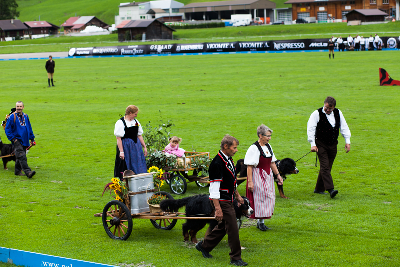 hublot_polo_gold_cup_gstaad_2015_bernhardiner_hunde_gstaad